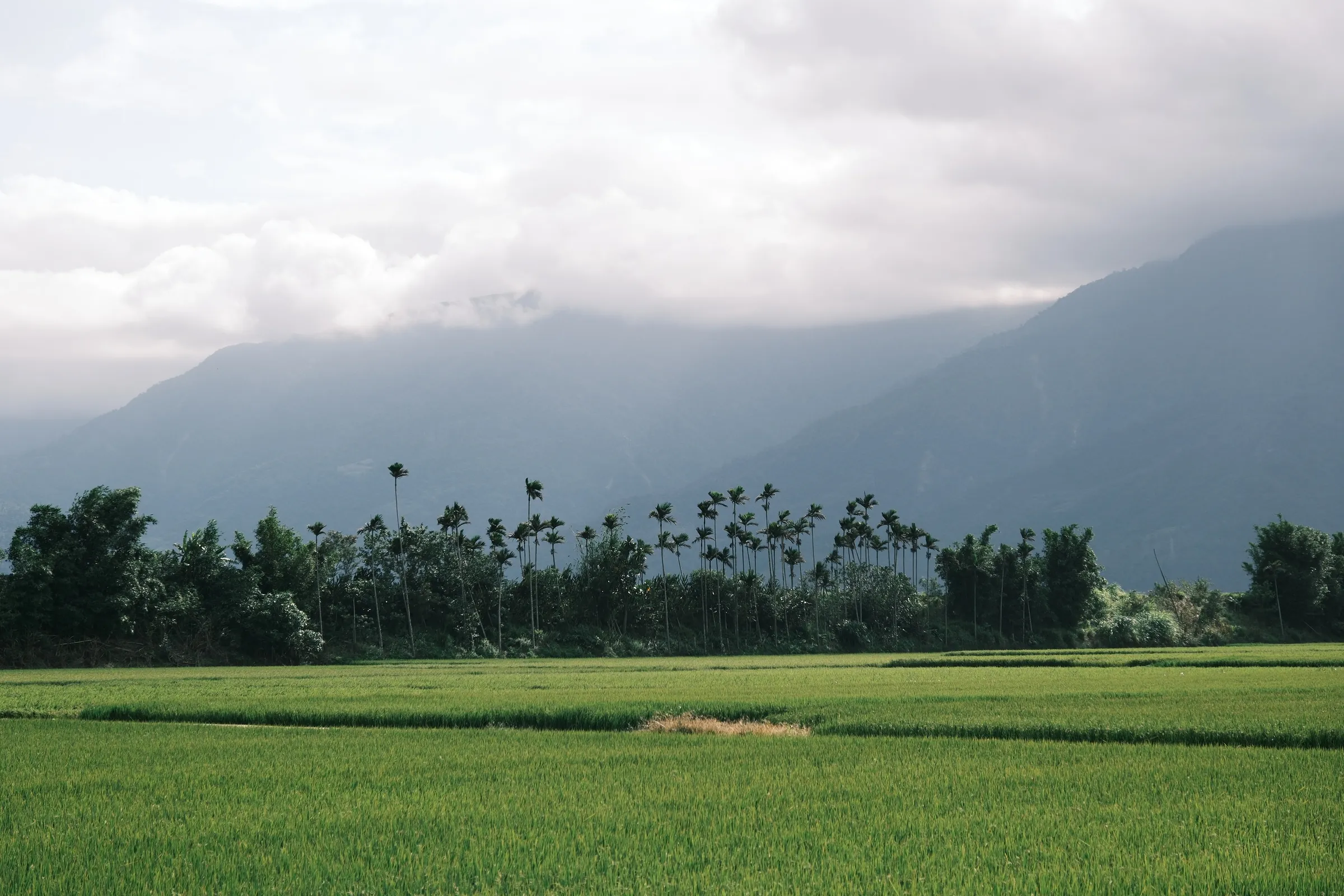 taiwan-2026, frame 63