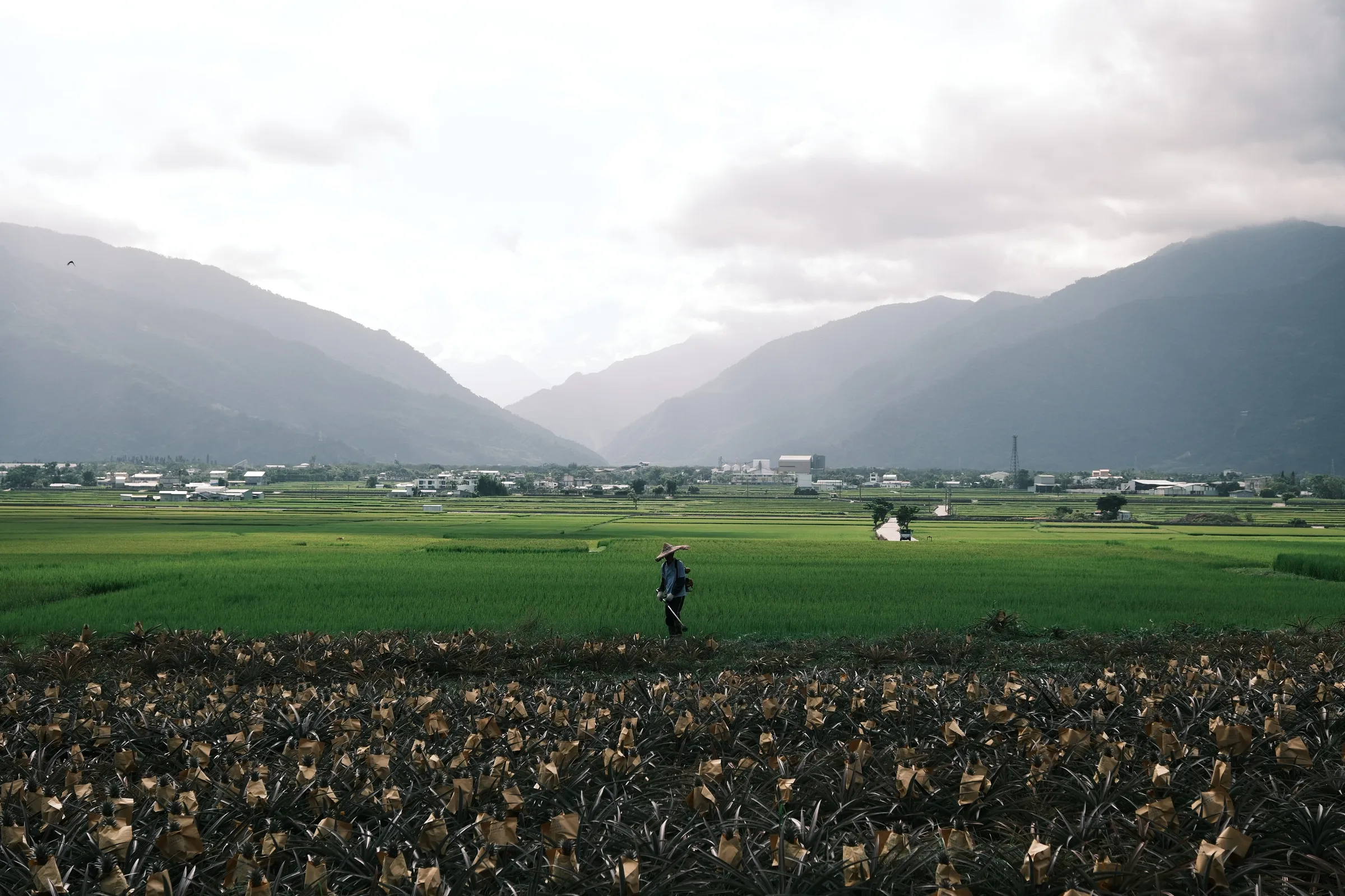 taiwan-2026, frame 67