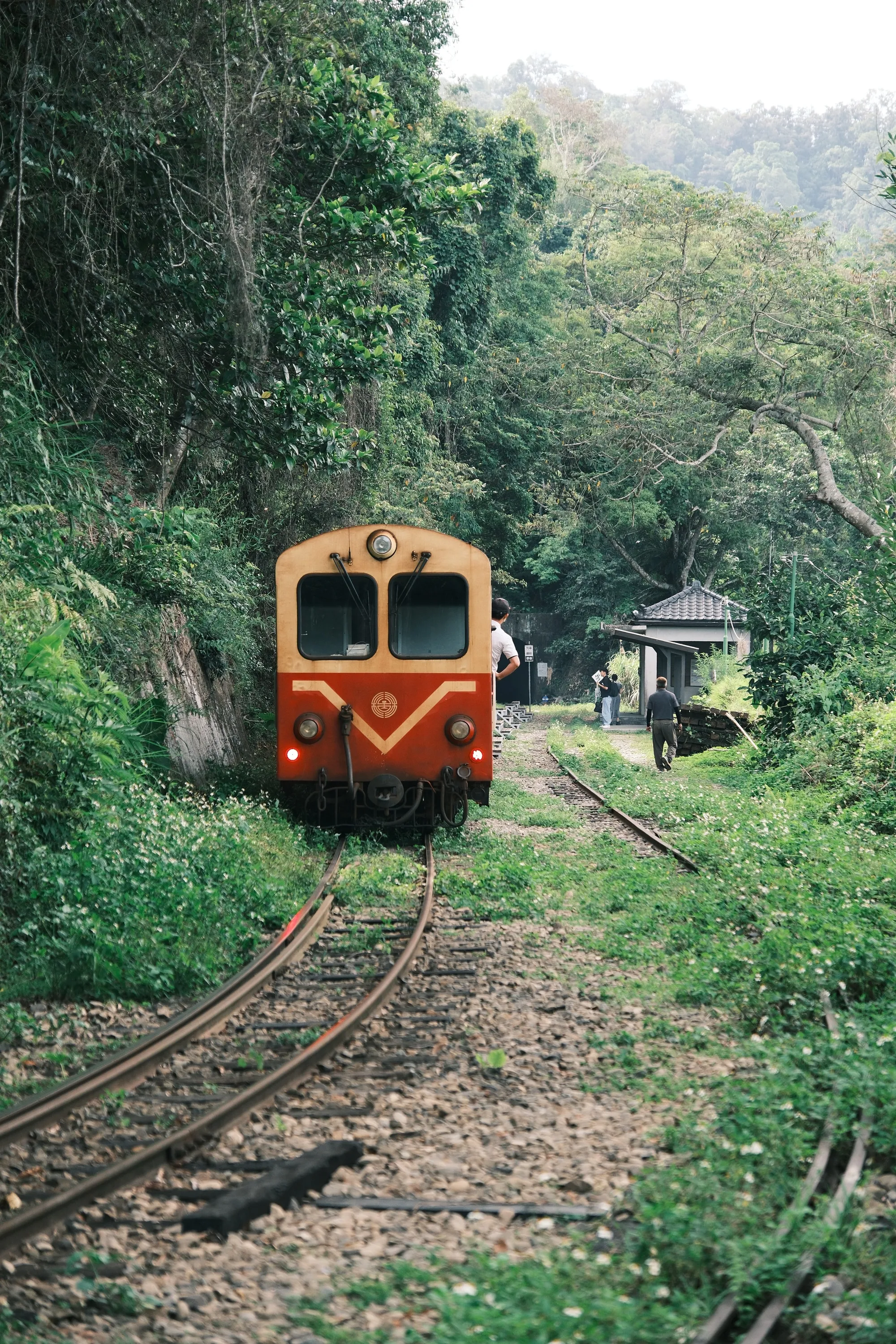 taiwan-2026, frame 98