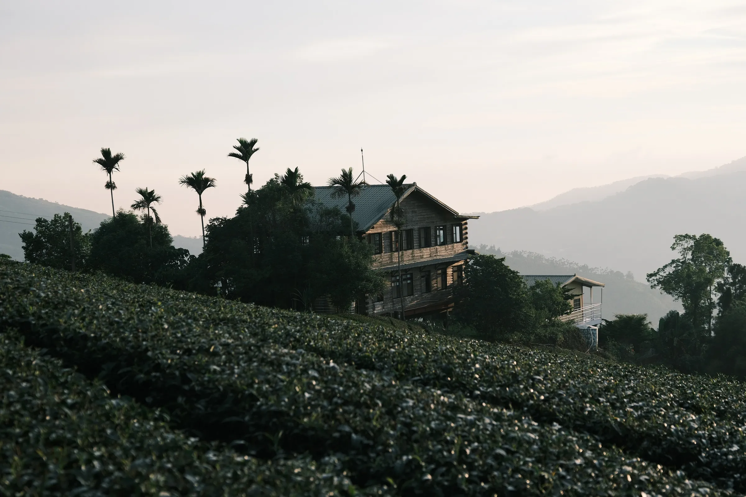taiwan-2026, frame 92
