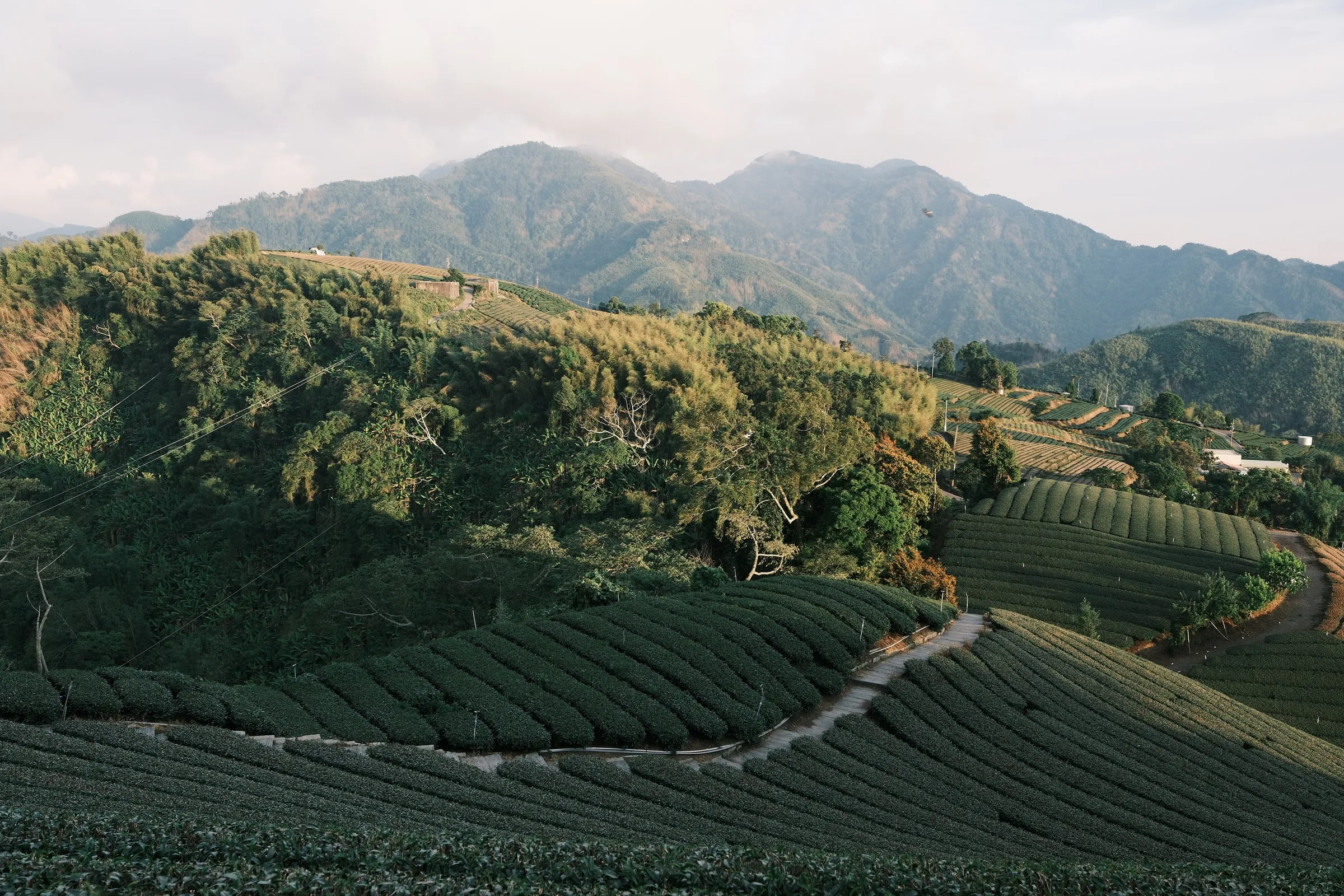 taiwan-2026, frame 94