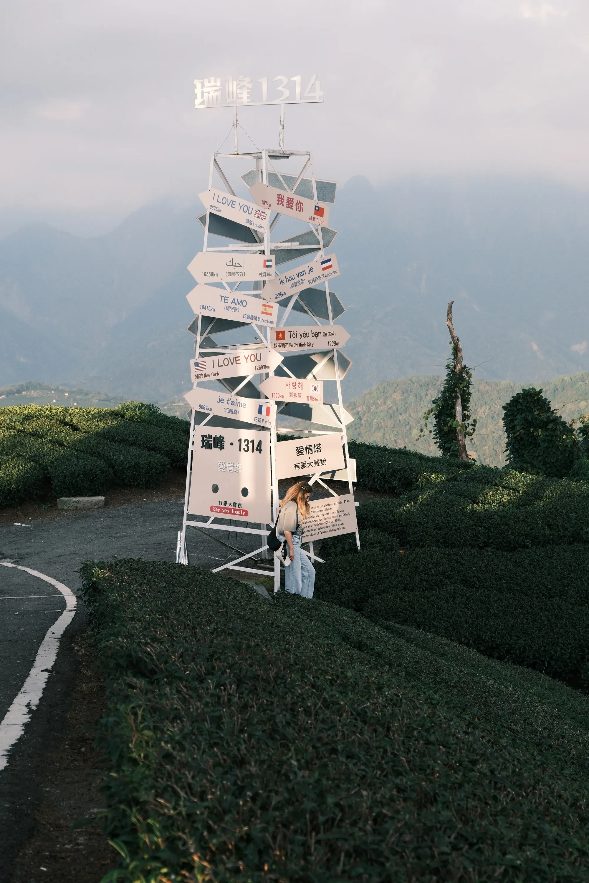taiwan-2026, frame 95