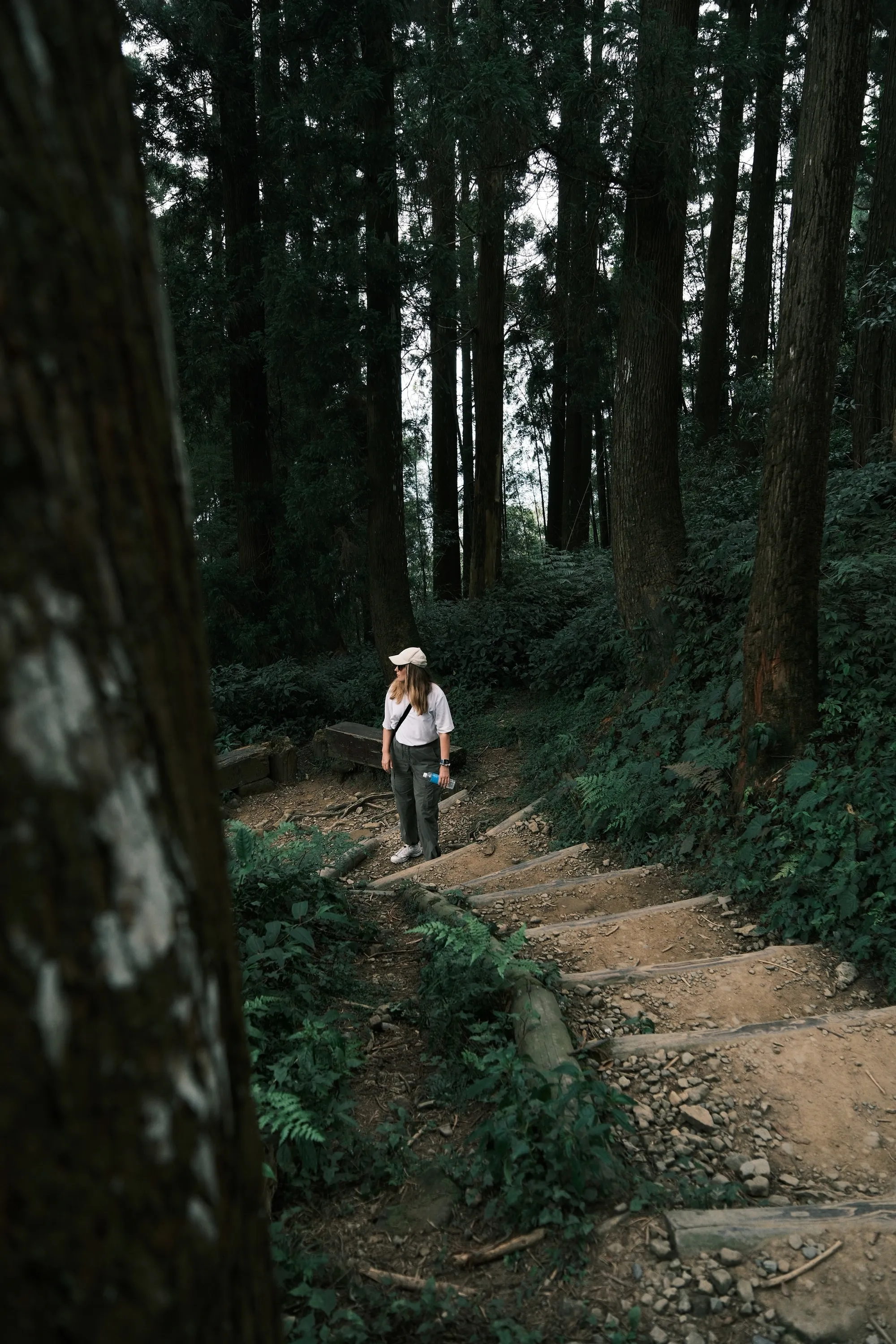 taiwan-2026, frame 99