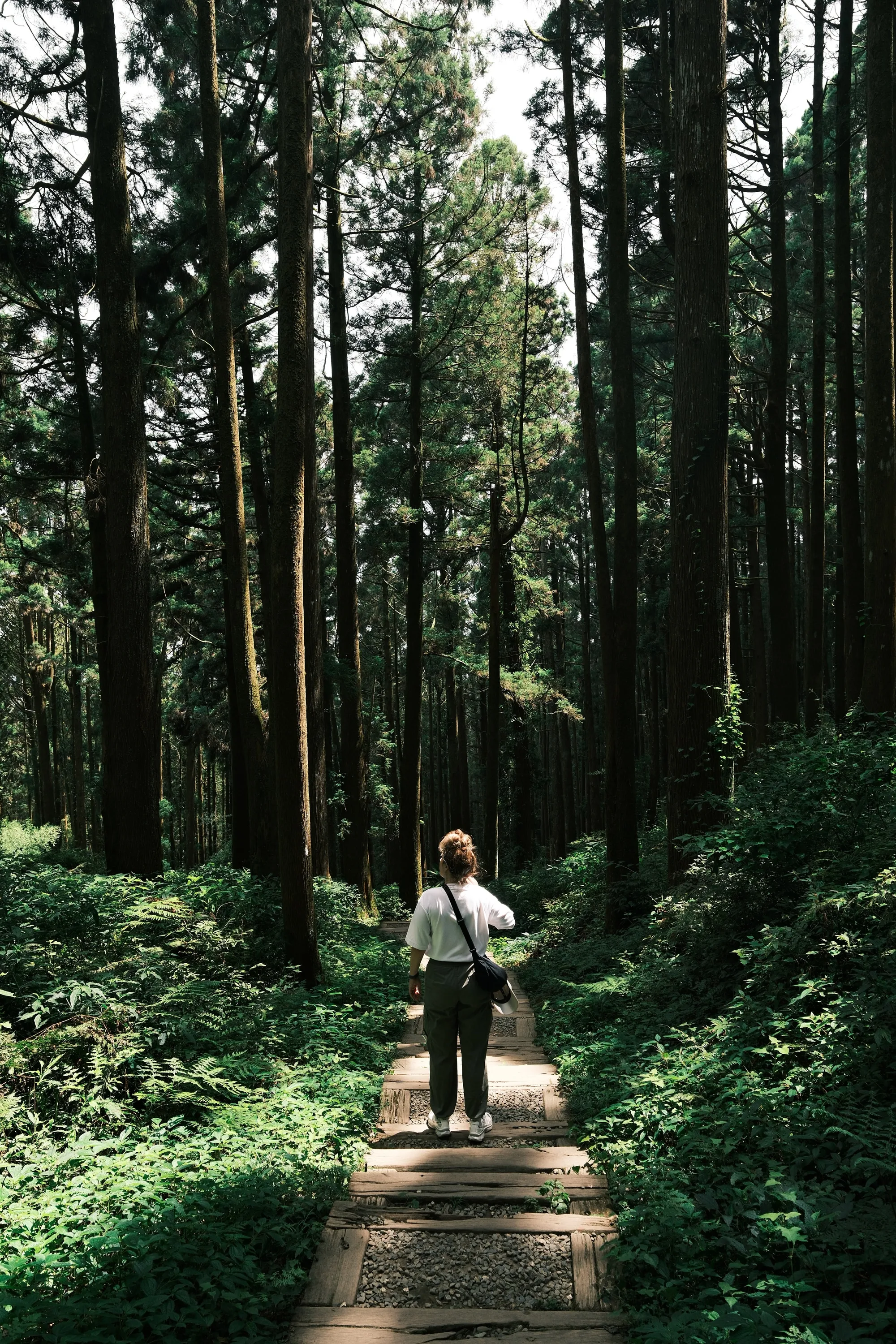 taiwan-2026, frame 103