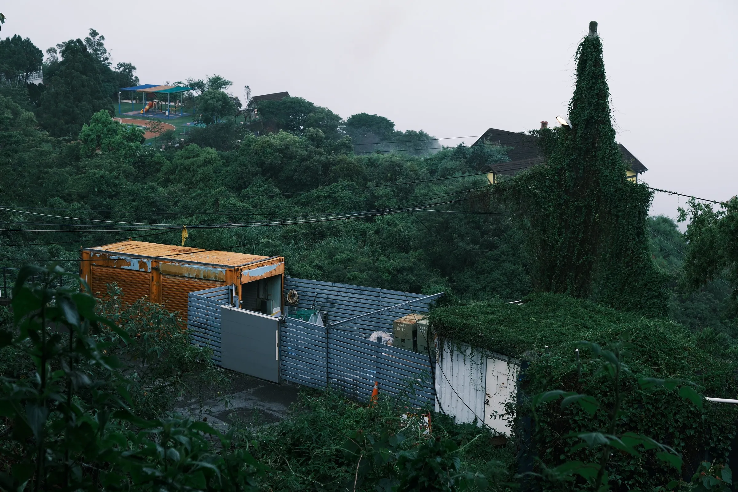 taiwan-2026, frame 110