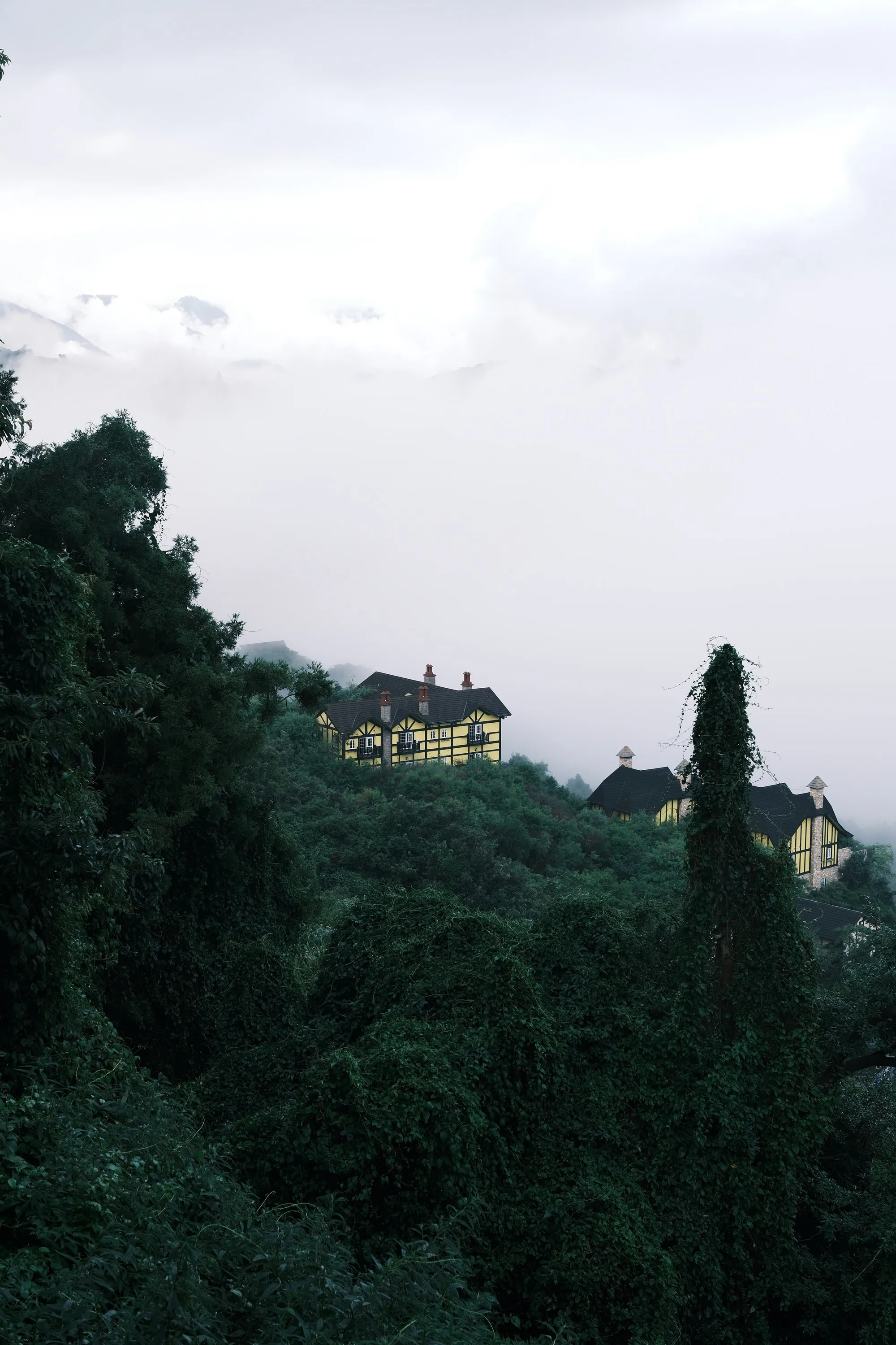 taiwan-2026, frame 111