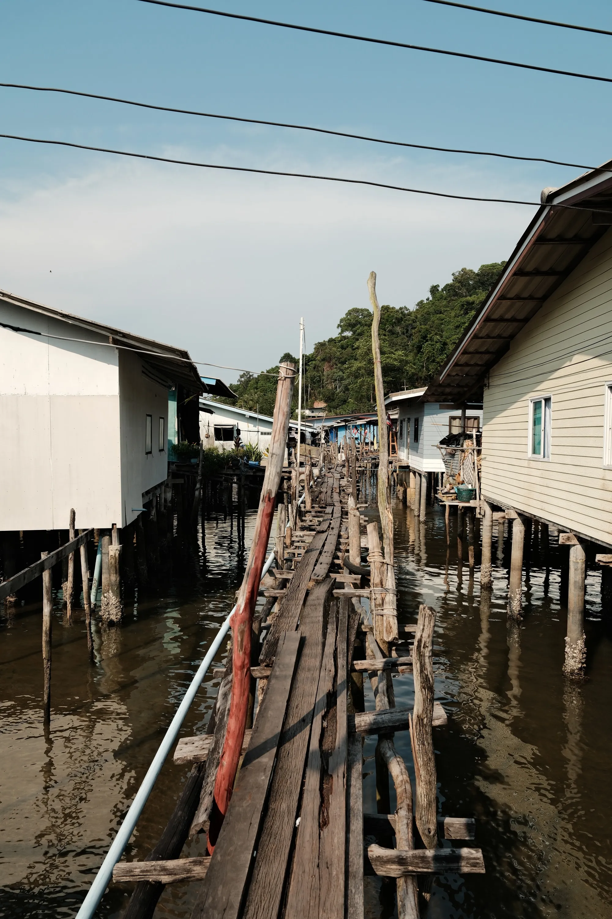 thailand-2026, frame 6