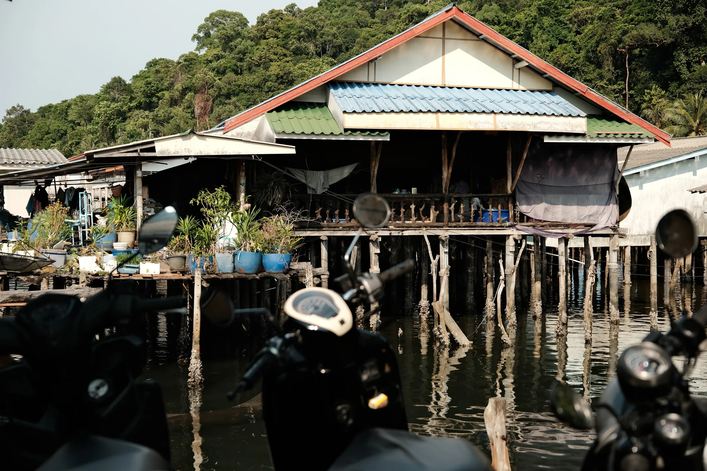thailand-2026, frame 10