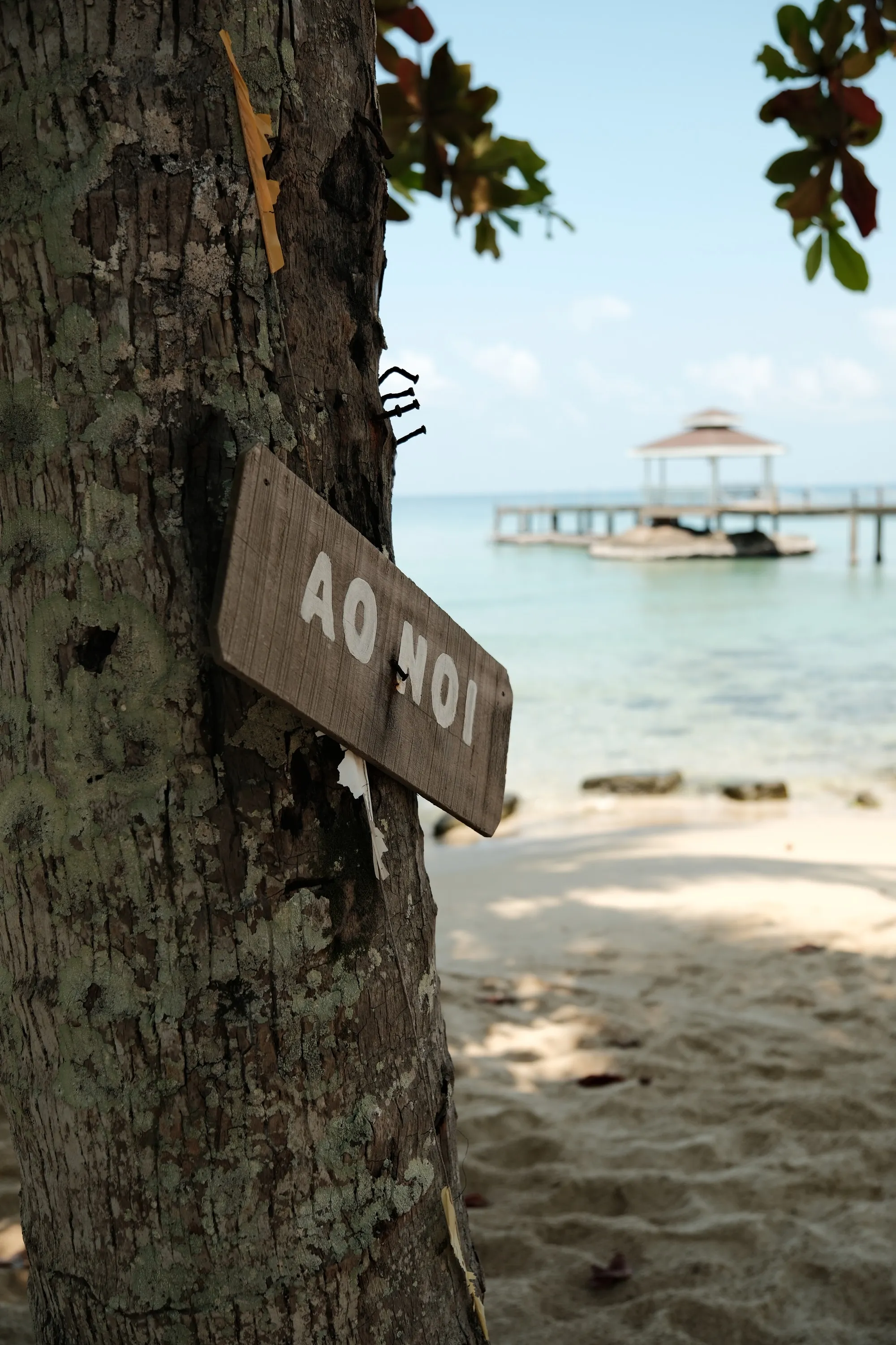Ao Noi