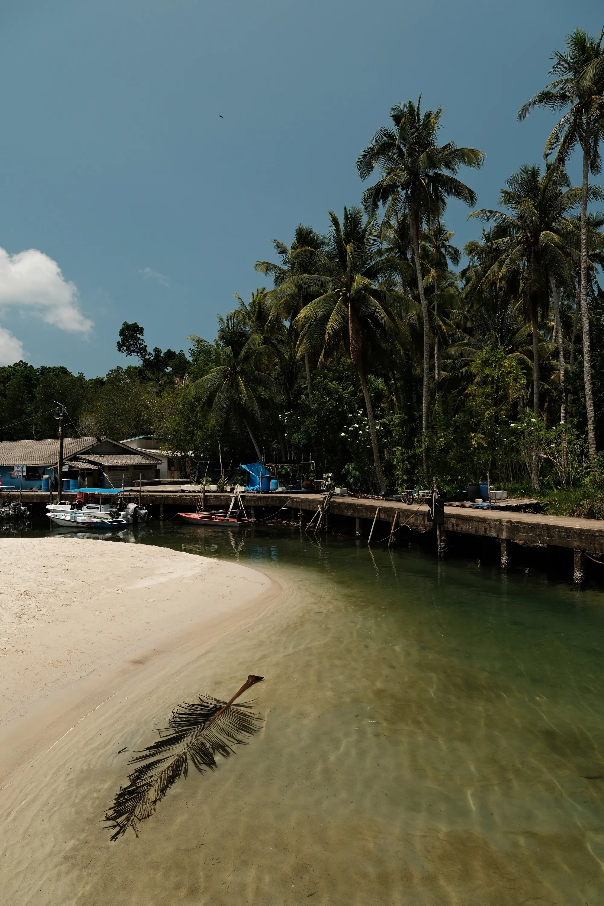 thailand-2026, frame 18