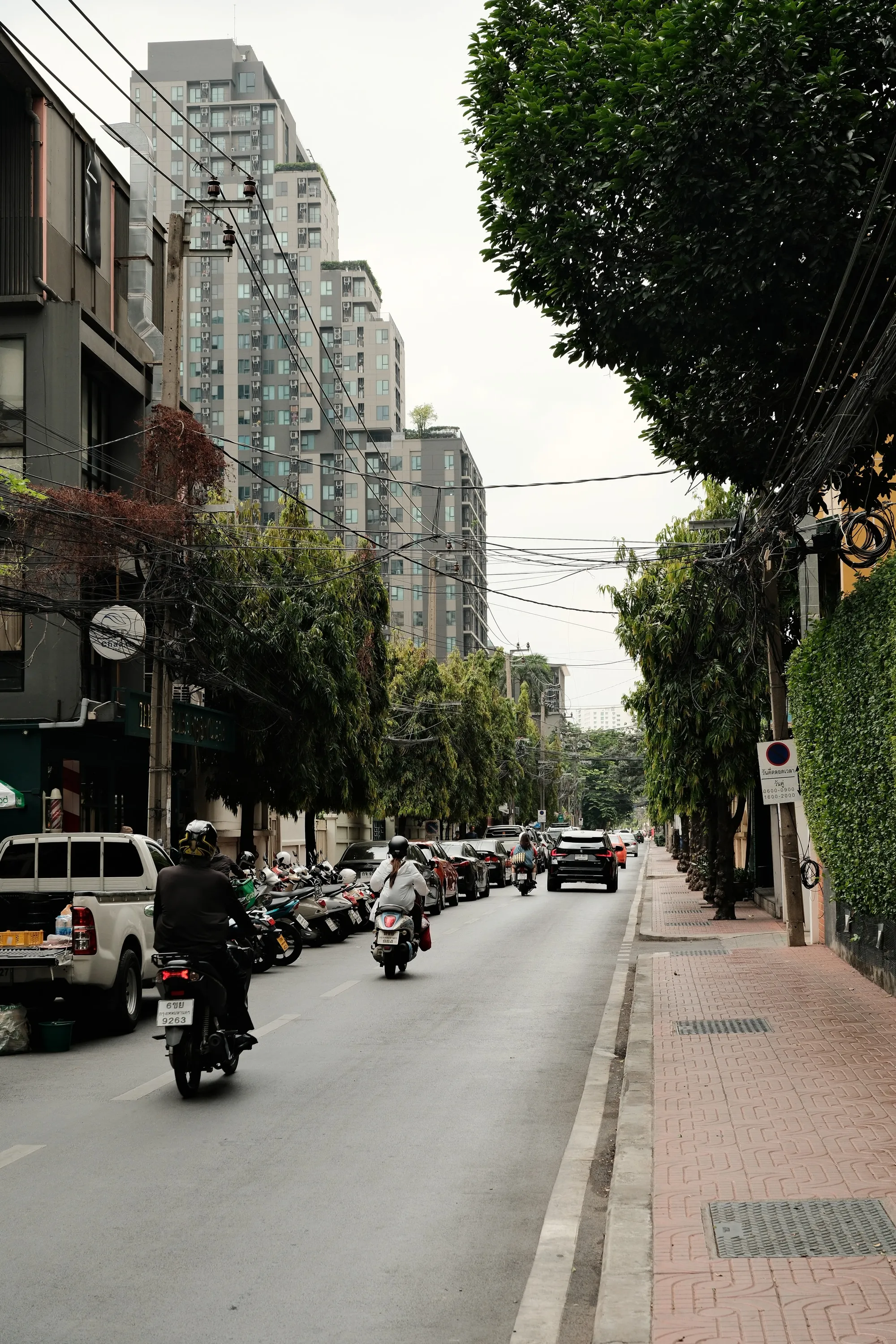 thailand-2026, frame 26