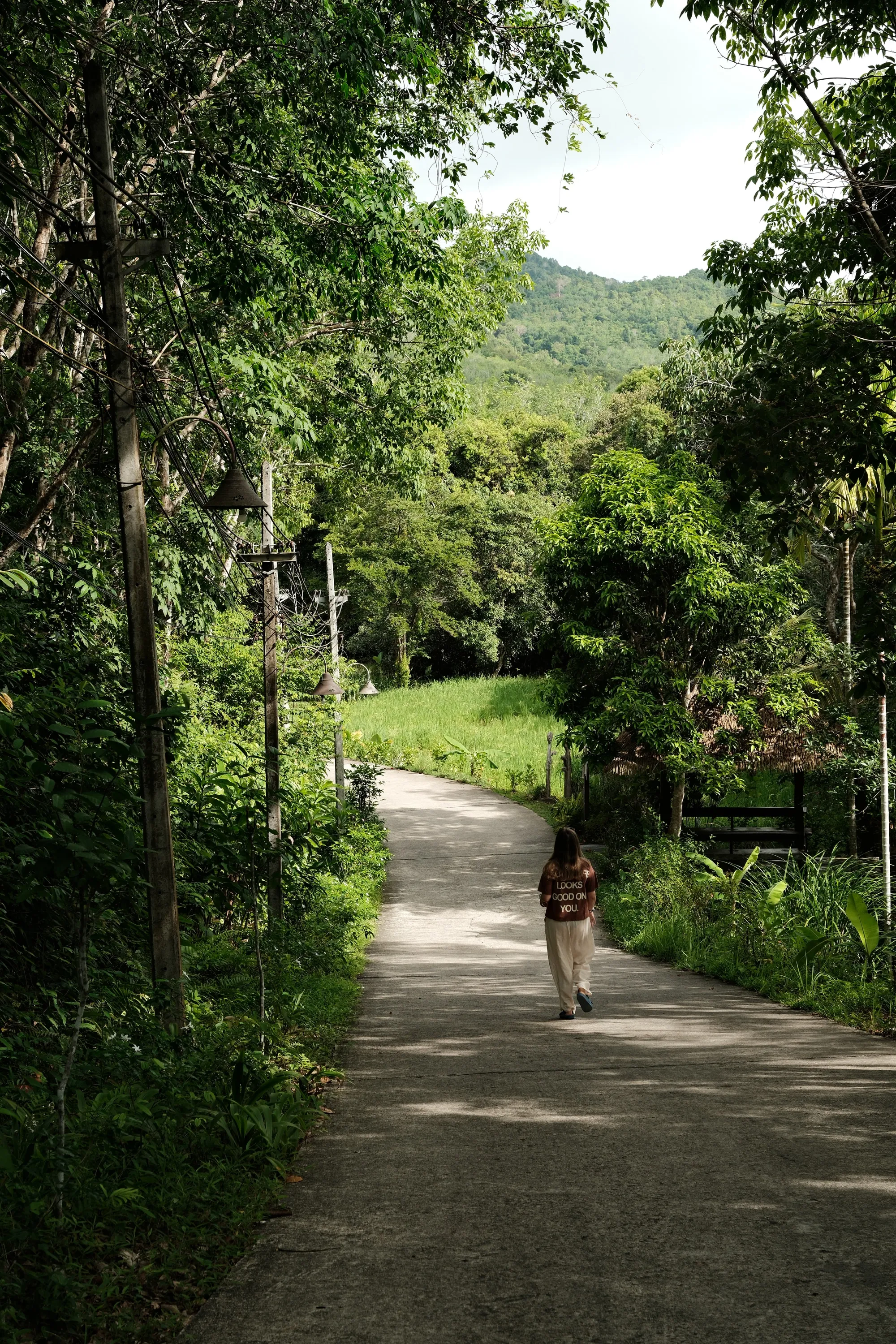 thailand-2026, frame 42